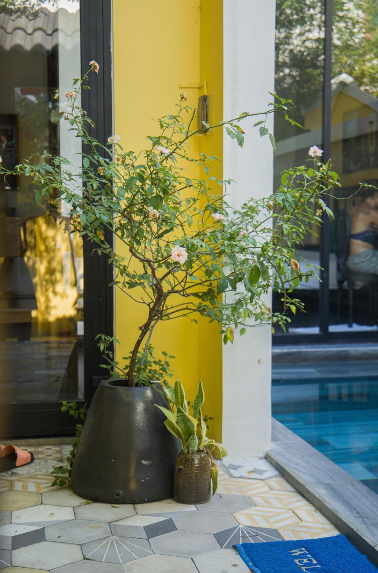 Rosie Villa Hoi An Bagian luar foto