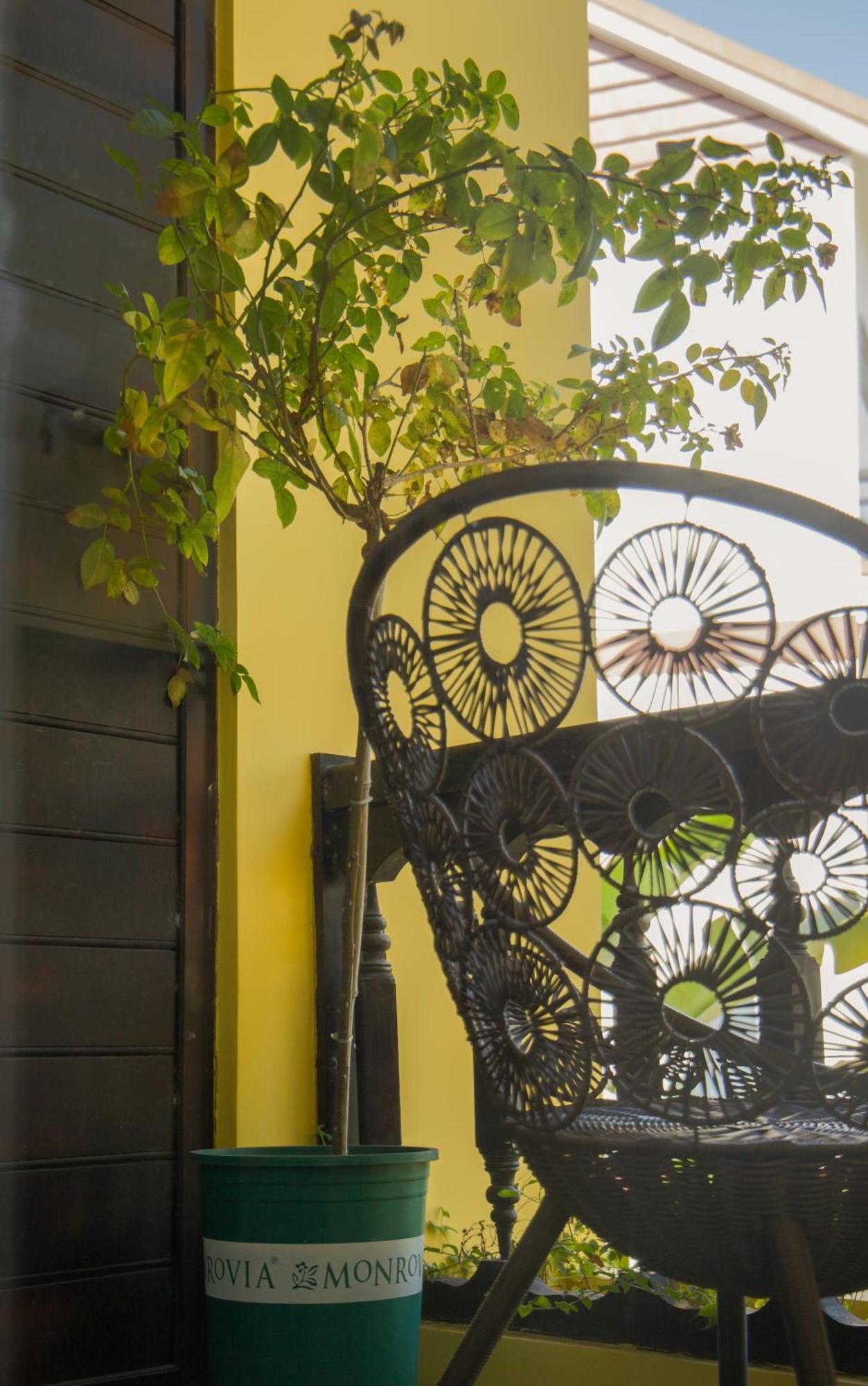 Rosie Villa Hoi An Bagian luar foto